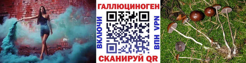 Купить закладки  Белогорск  Галлюциногенные грибы мицелий 